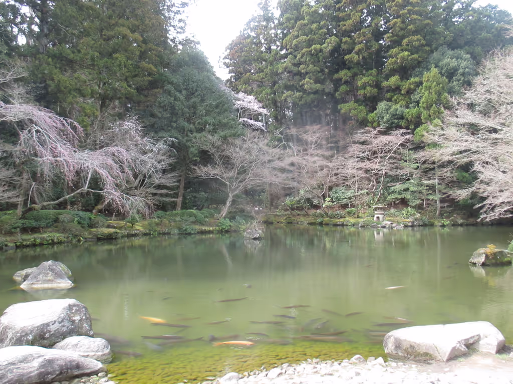 Chiba Private Tour - Japanese Garden