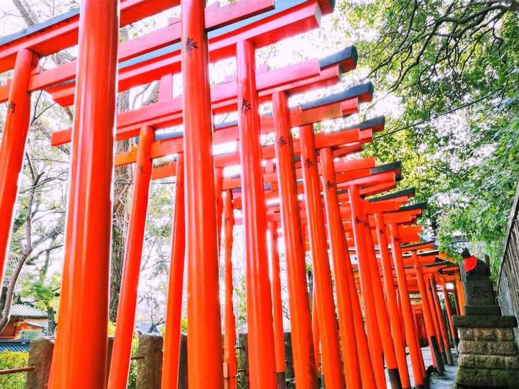 Tokyo Private Tour - 