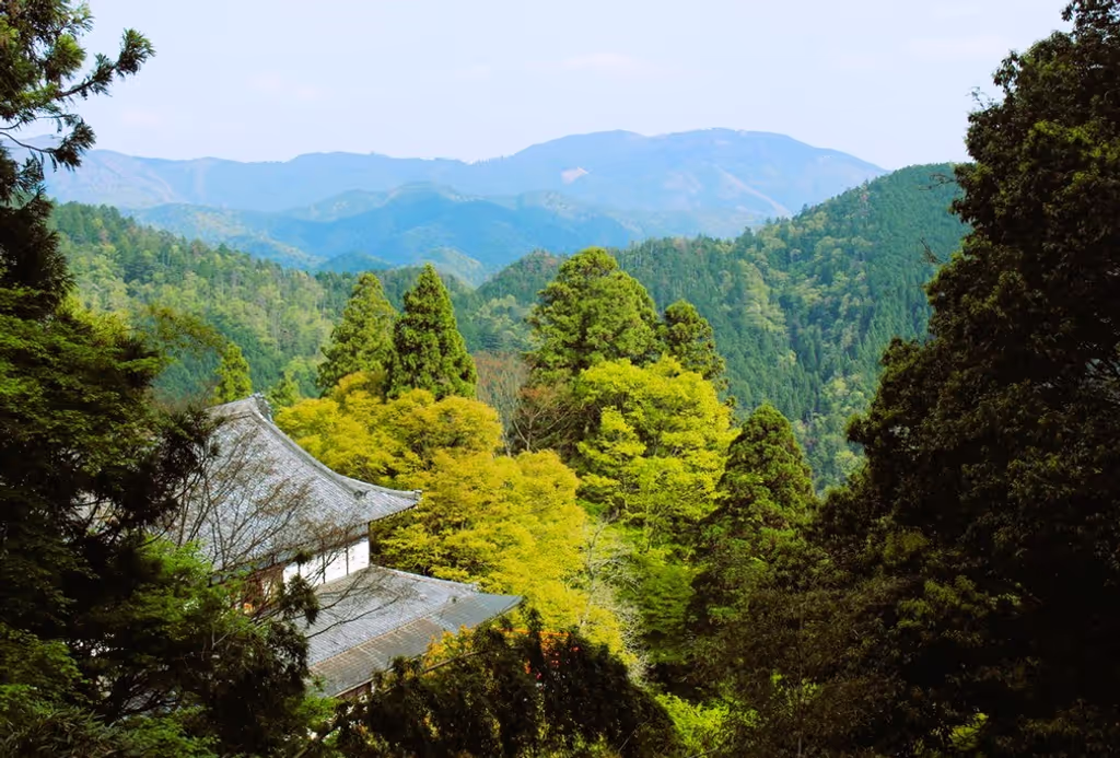 Kyoto Private Tour - You’ll enjoy stunning views along the hike