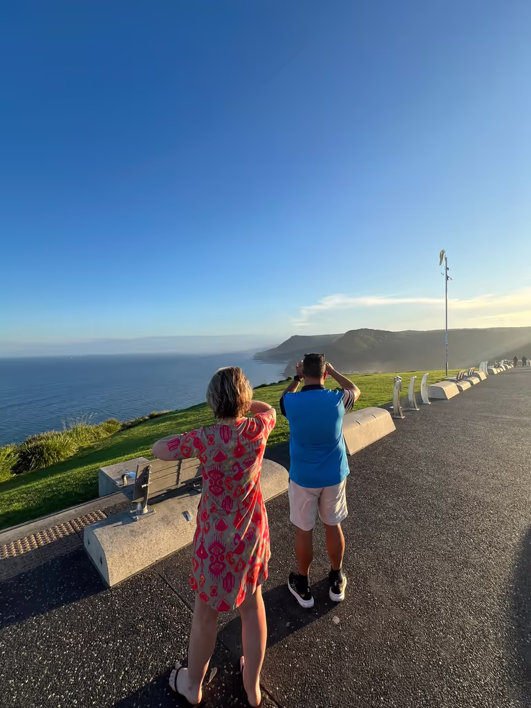 Sydney Private Tour - Bold Hill Lookout - afternoon