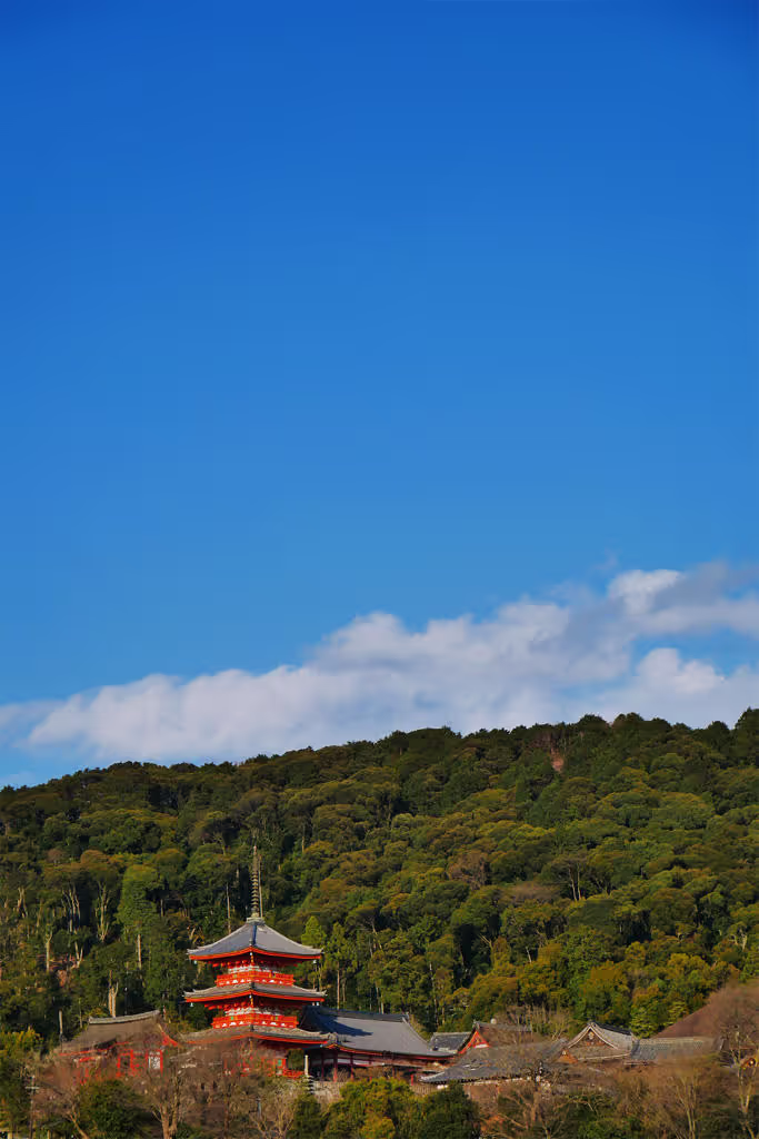 Kyoto Private Tour - Kiyomizu Temple