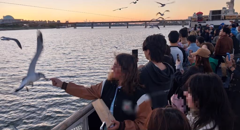 Seoul Private Tour - Hangang river cruise