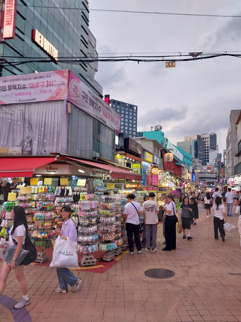 Seoul Private Tour - Hongdae