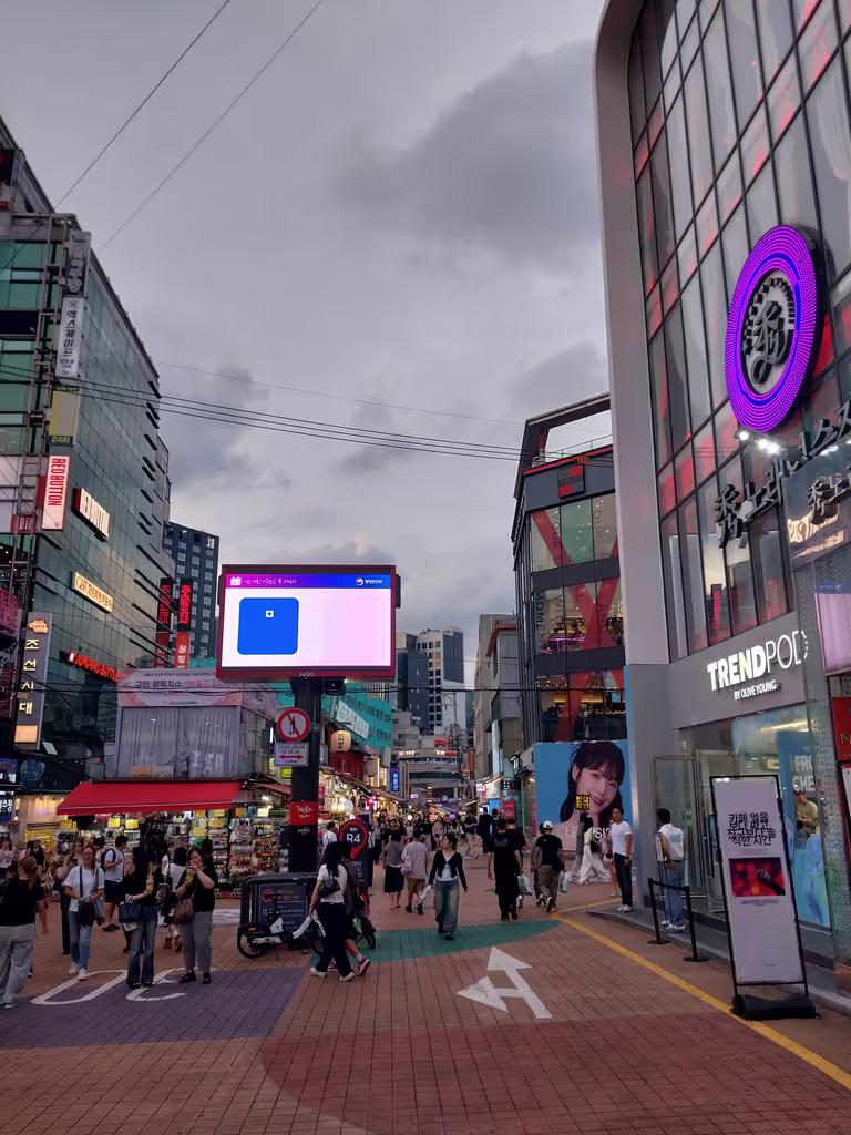 Seoul Private Tour - Hongdae