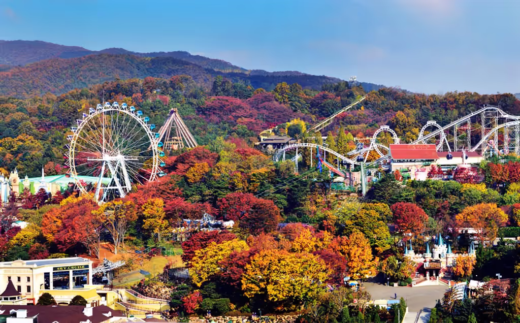 Seoul Private Tour - 