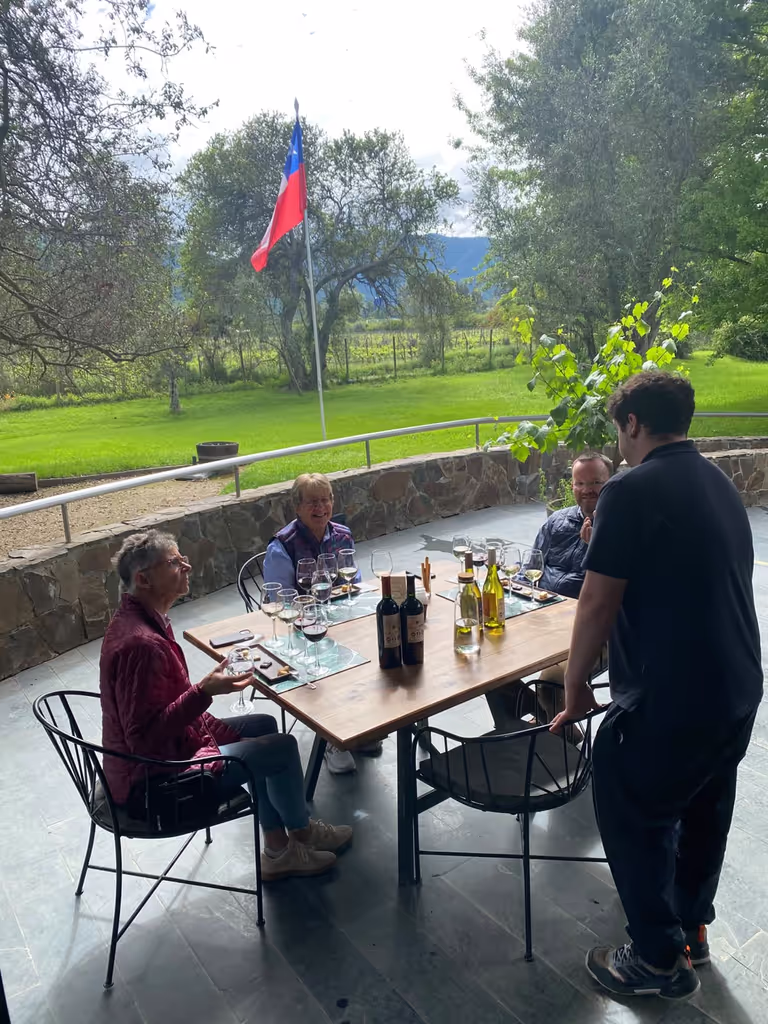 Santiago Private Tour - Wine Tasting