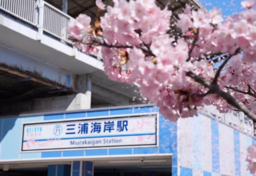 Kanagawa Private Tour - Miurakaigan Station