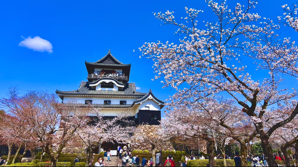 Nagoya Private Tour - 