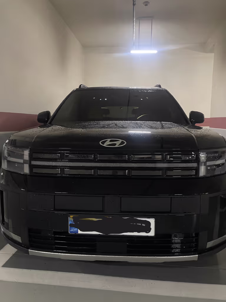 Seoul Private Tour - My Car Hyundai Santa Fe (6 seater)