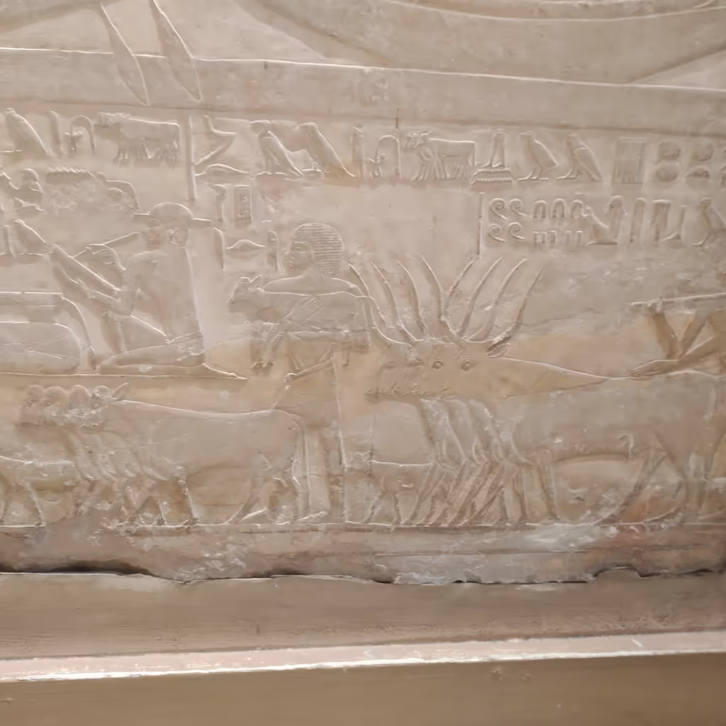 Cairo Private Tour - 
