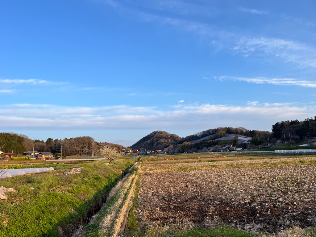 Saitama Private Tour - 