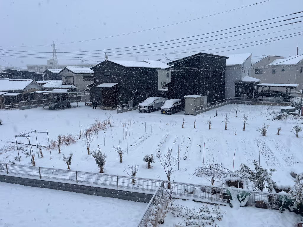 Saitama Private Tour - Snow in 2026