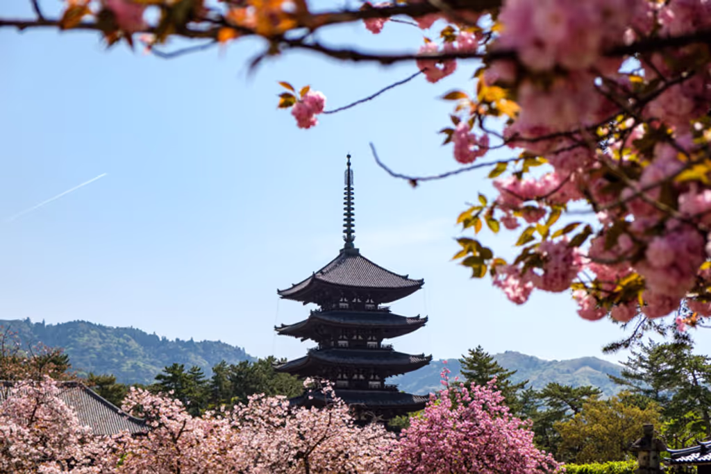 Nara Private Tour - Kohfuku-ji Temple 興福寺の五重塔