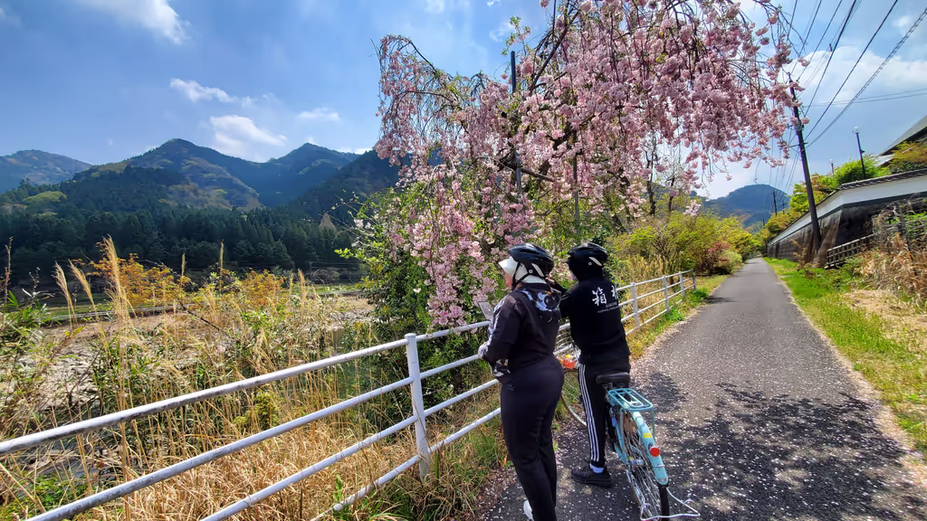 Oita Private Tour - Photo stop at your own pace (photo in April)