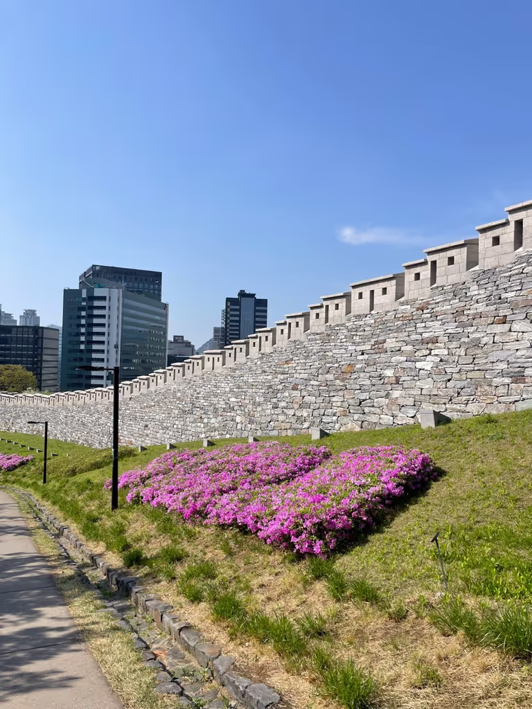 Seoul Private Tour - A view along the path to the park