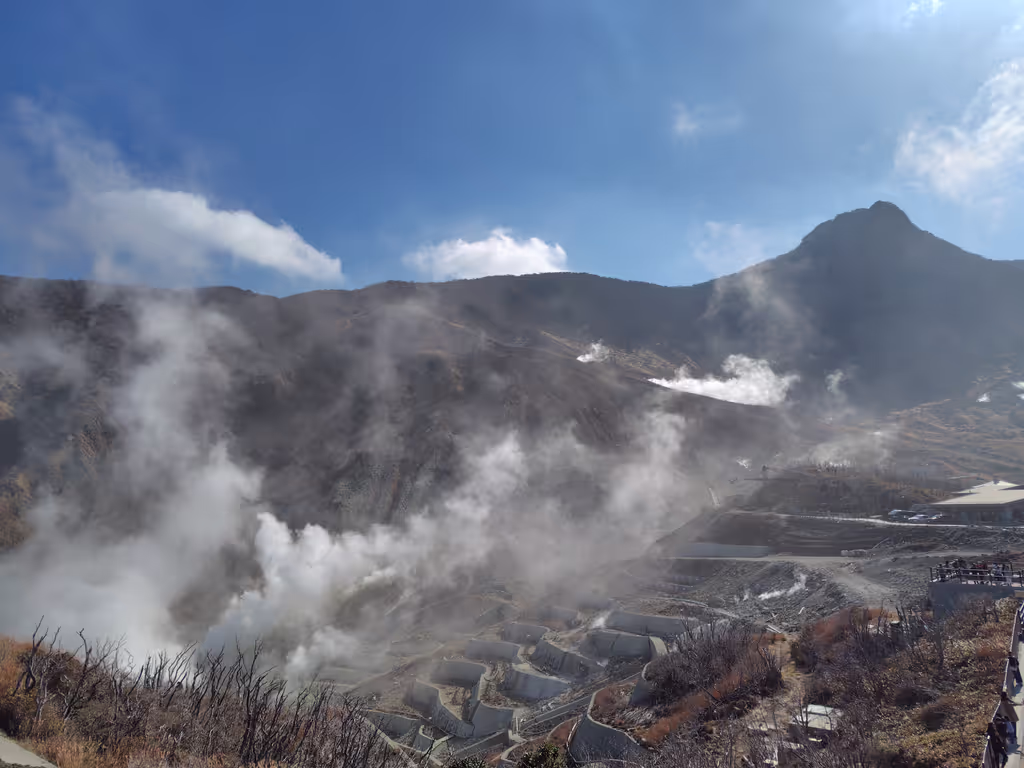 Hakone Private Tour - Owakudani Valley