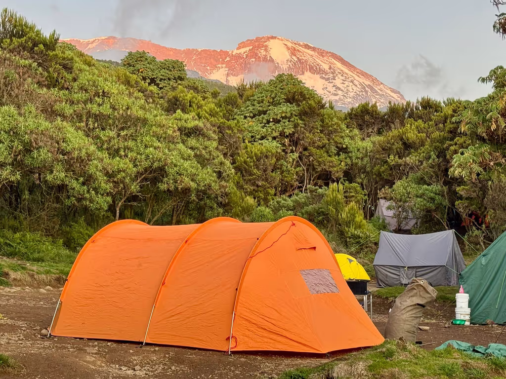 Moshi Private Tour - view of kilimanjaro
