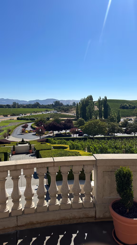 San Francisco Private Tour - Carneros