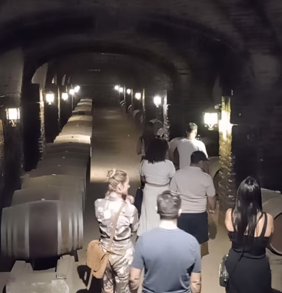 Santiago Private Tour - 