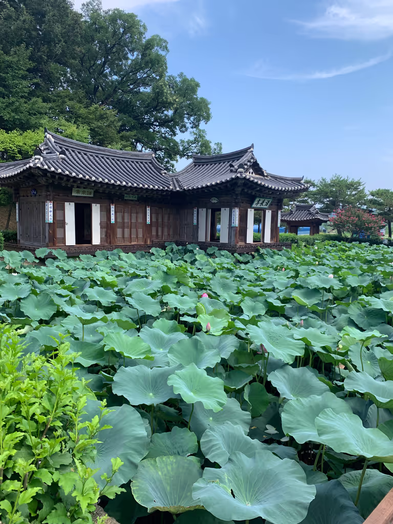 Seoul Private Tour - The Pavilion at the Seongyojang