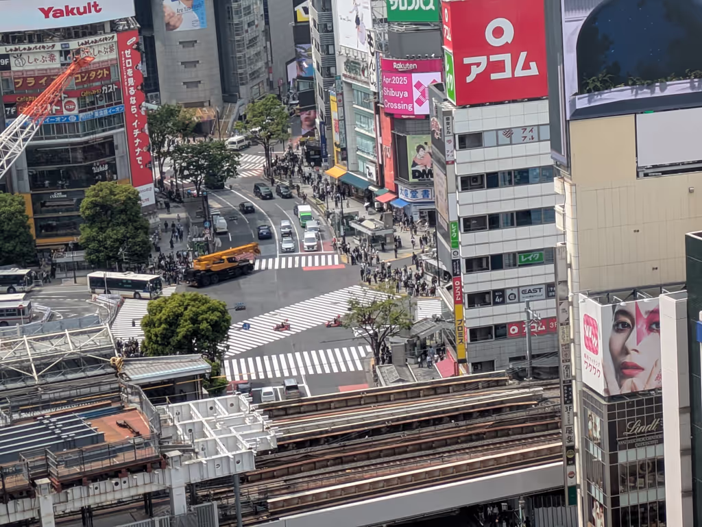Tokyo Private Tour - scramble crossing