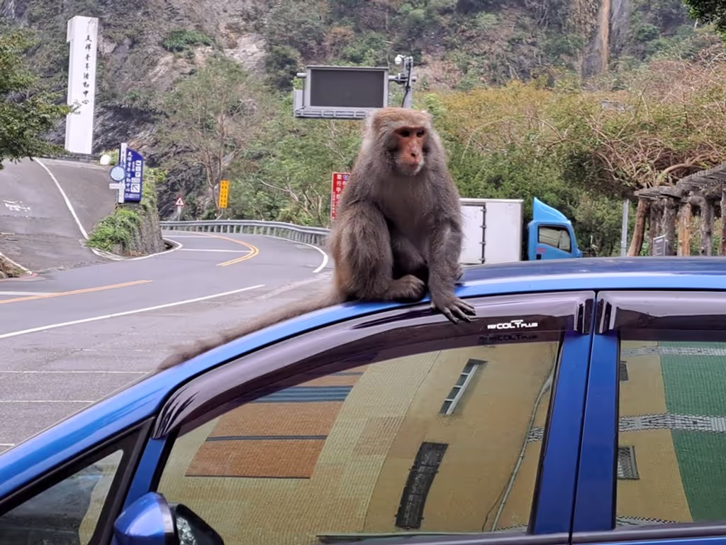 Hualien Private Tour - 