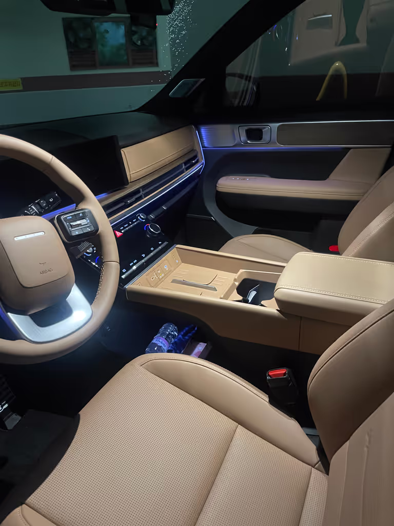 Seoul Private Tour - Inside view of my car, front seats
