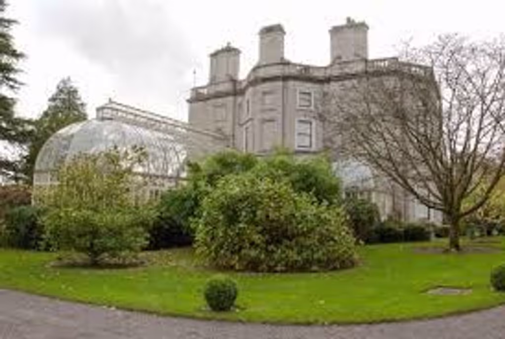 Dublin Private Tour - Farmleigh House