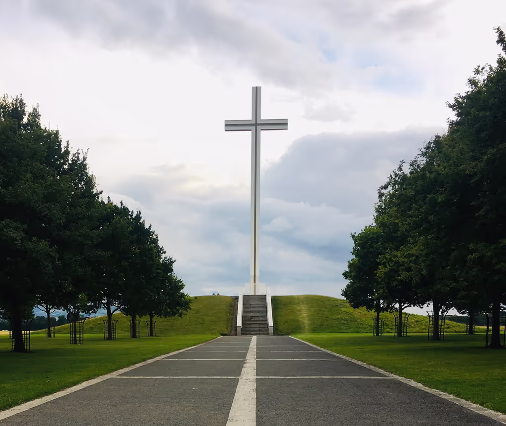Dublin Private Tour - Papal Cross
