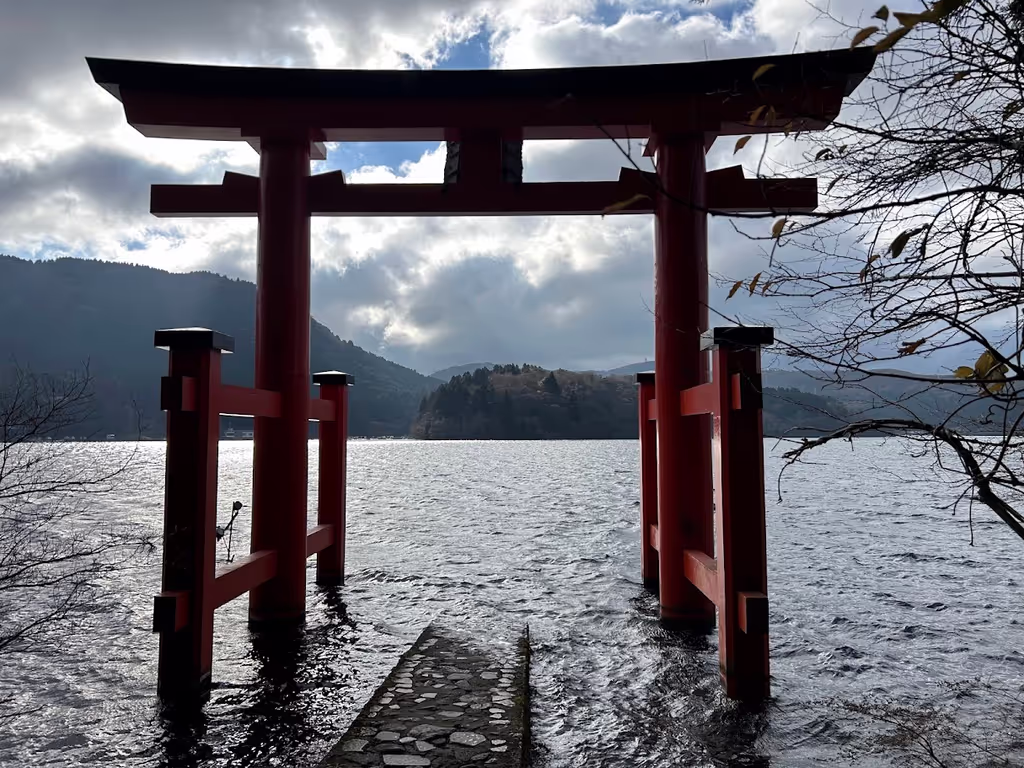 Tokyo Private Tour - Tori gate