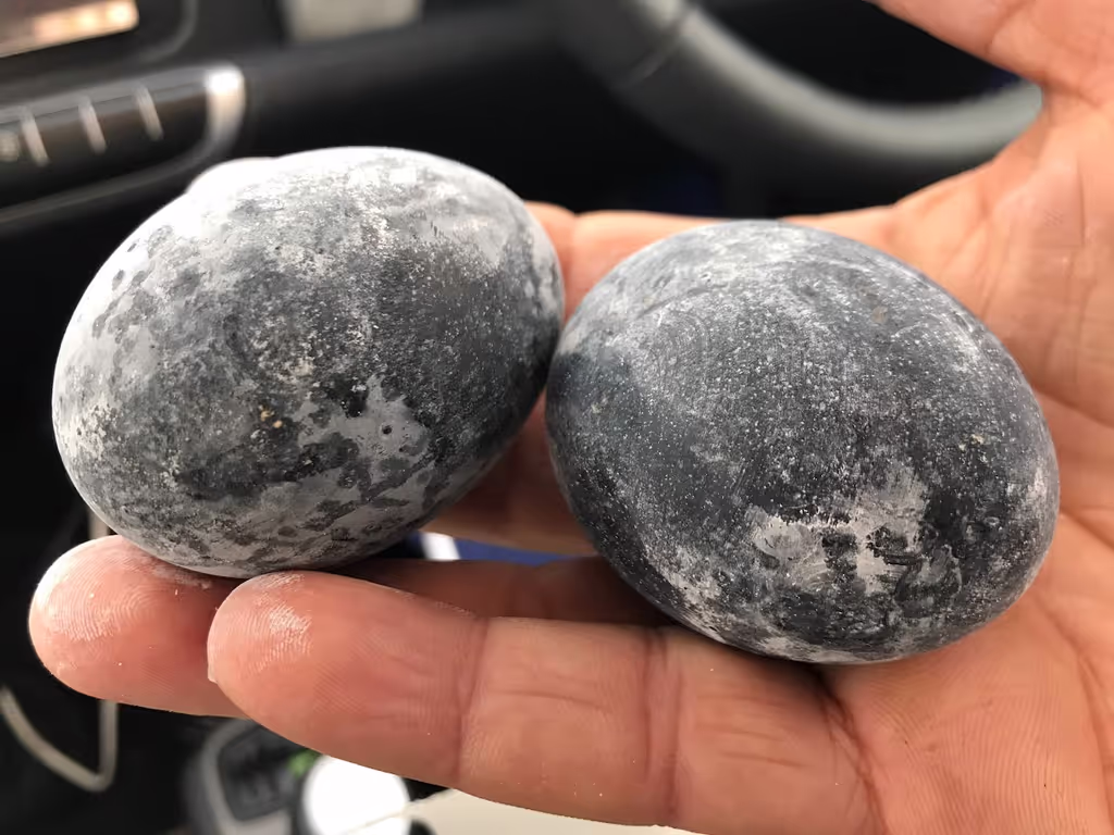 Tokyo Private Tour - famous black eggs