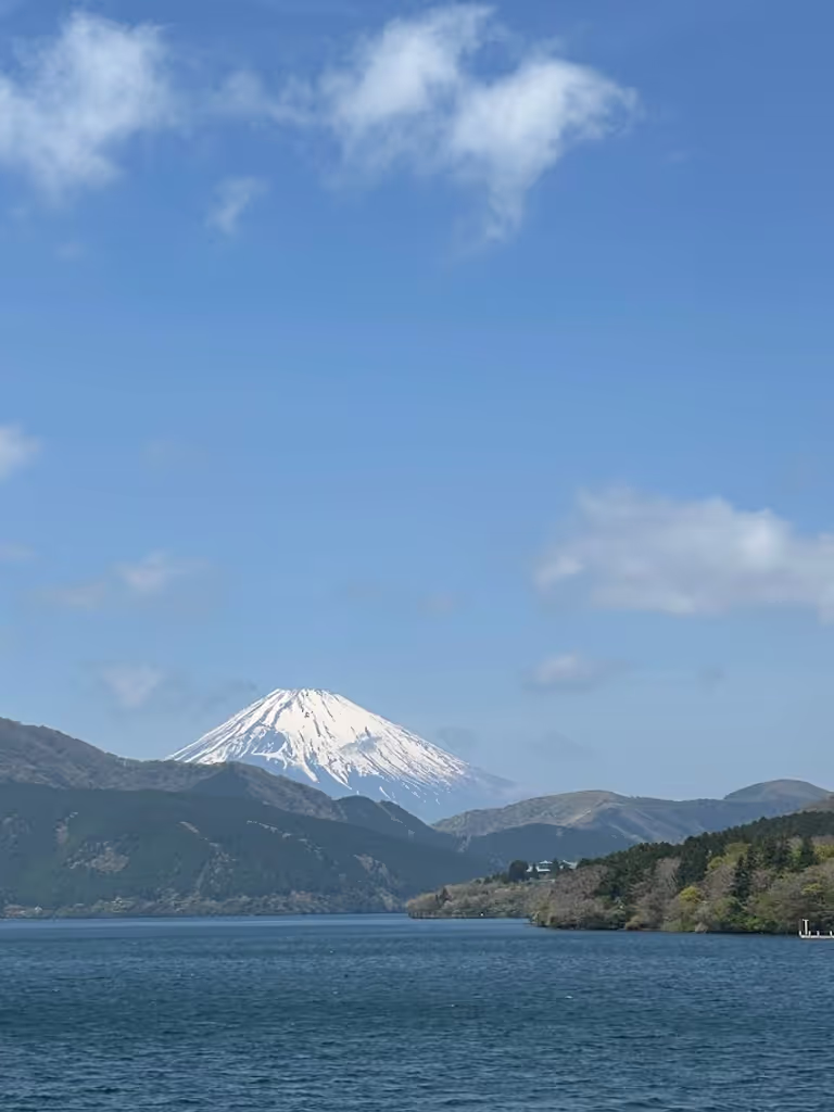 Tokyo Private Tour - View of Mount Fuji