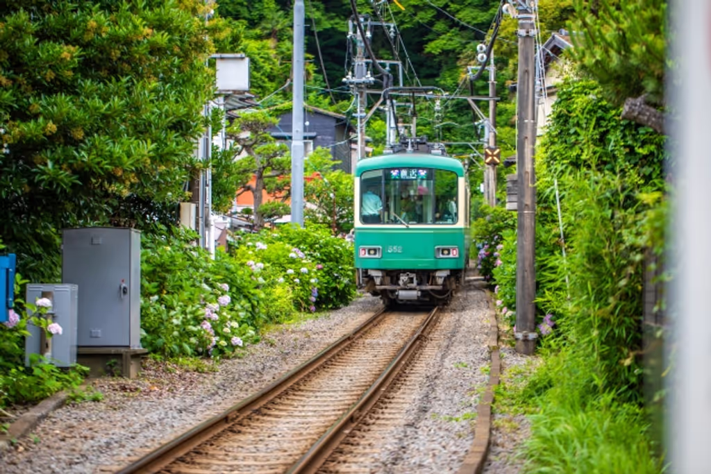 Kamakura Private Tour - Eno-den train