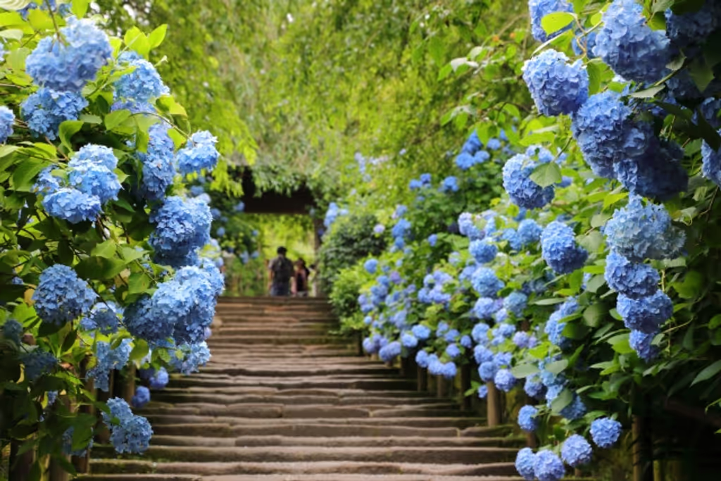 Kamakura Private Tour - Kita Kamakura