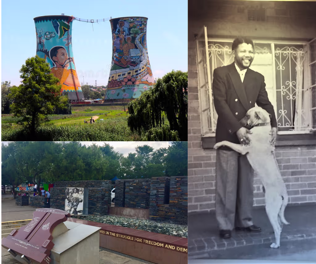 Johannesburg Private Tour - Soweto