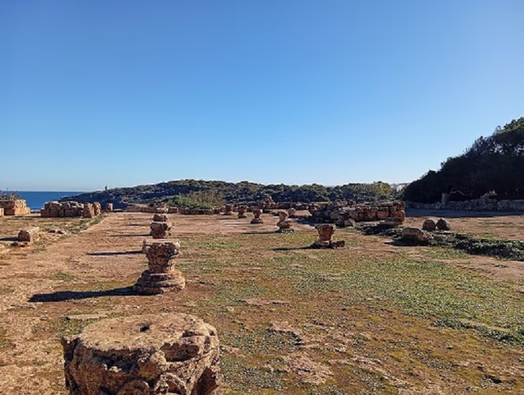 Algiers Private Tour - Ruins columns