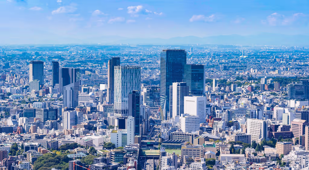 Tokyo Private Tour - 