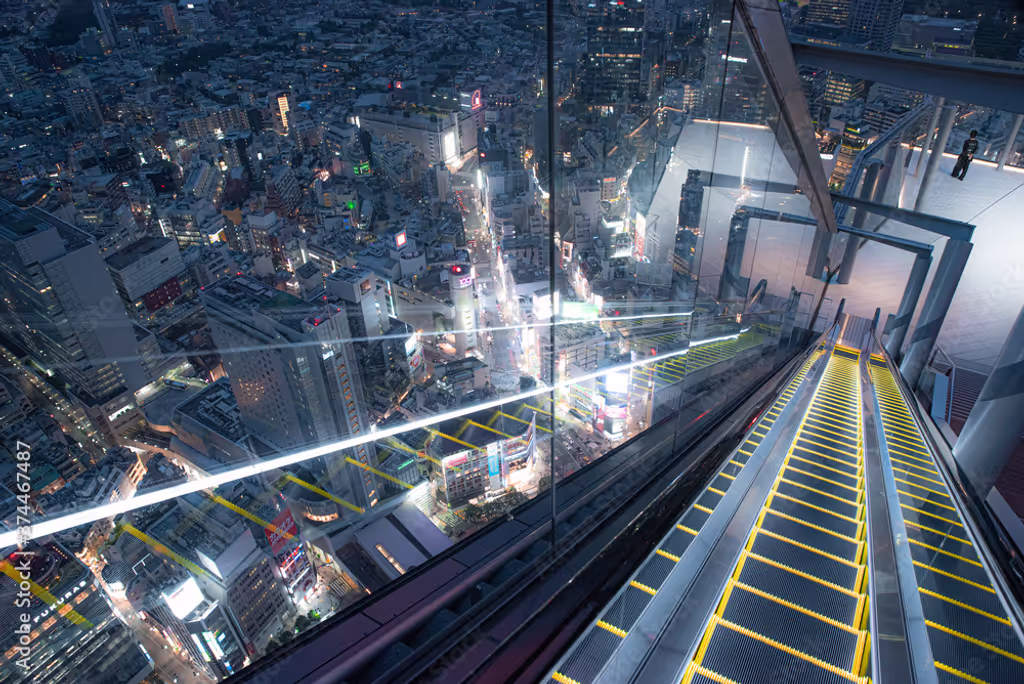 Tokyo Private Tour - 