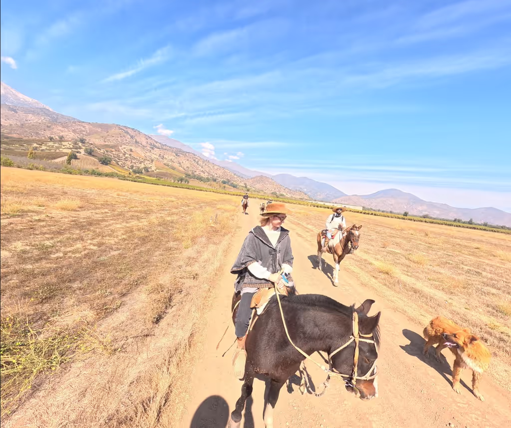 Santiago Private Tour - 