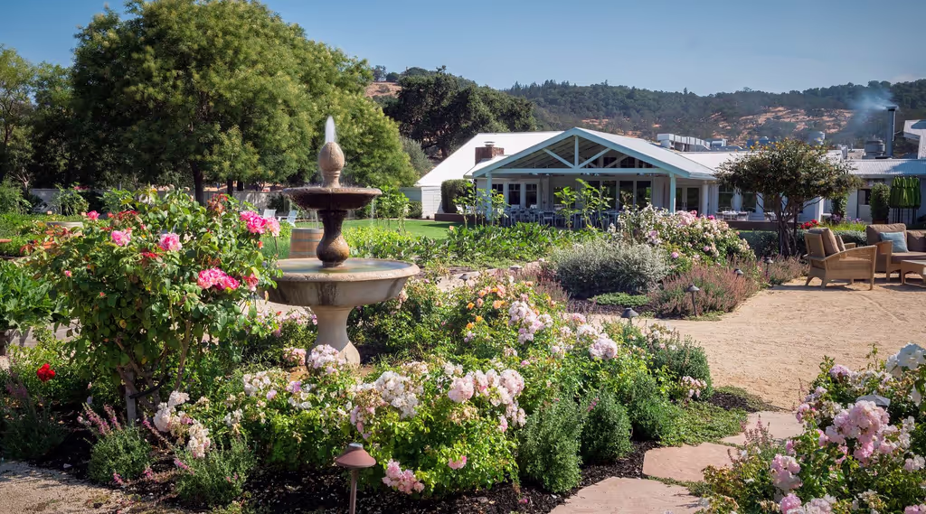 Sonoma Private Tour - Brix