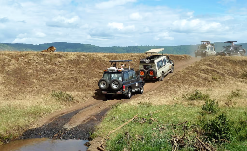Arusha Private Tour - Game drives in Ngorongoro