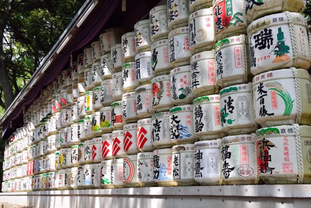 Tokyo Private Tour - 
