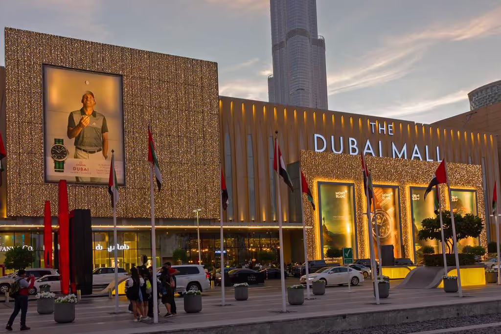 Dubai Private Tour - Dubai Mall