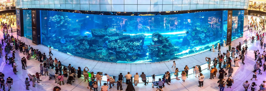 Dubai Private Tour - Fish Aquarium