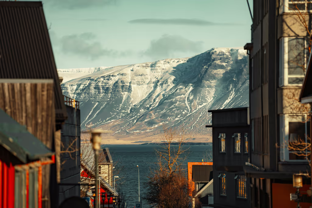 Reykjavik Private Tour - City street