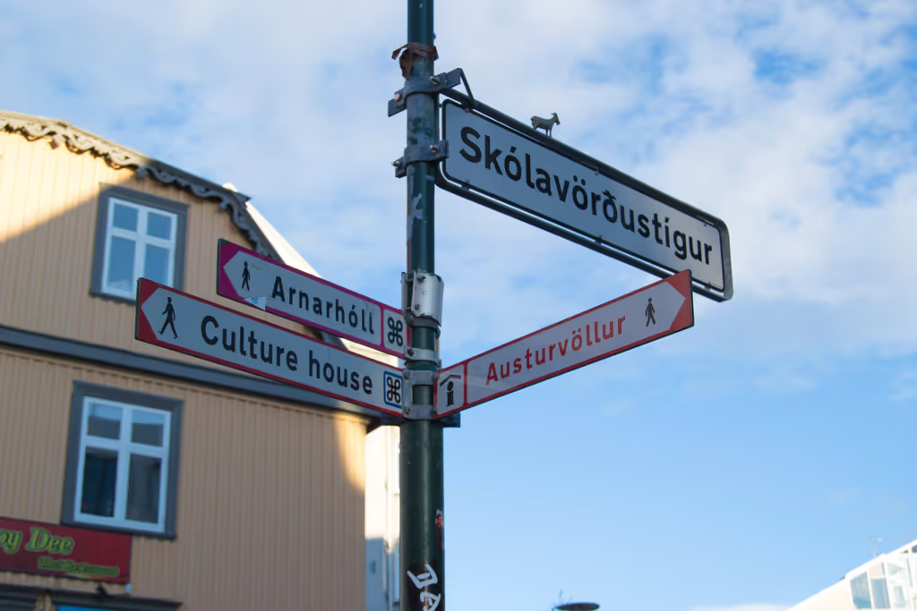 Reykjavik Private Tour - We can go anywhere in the town :)