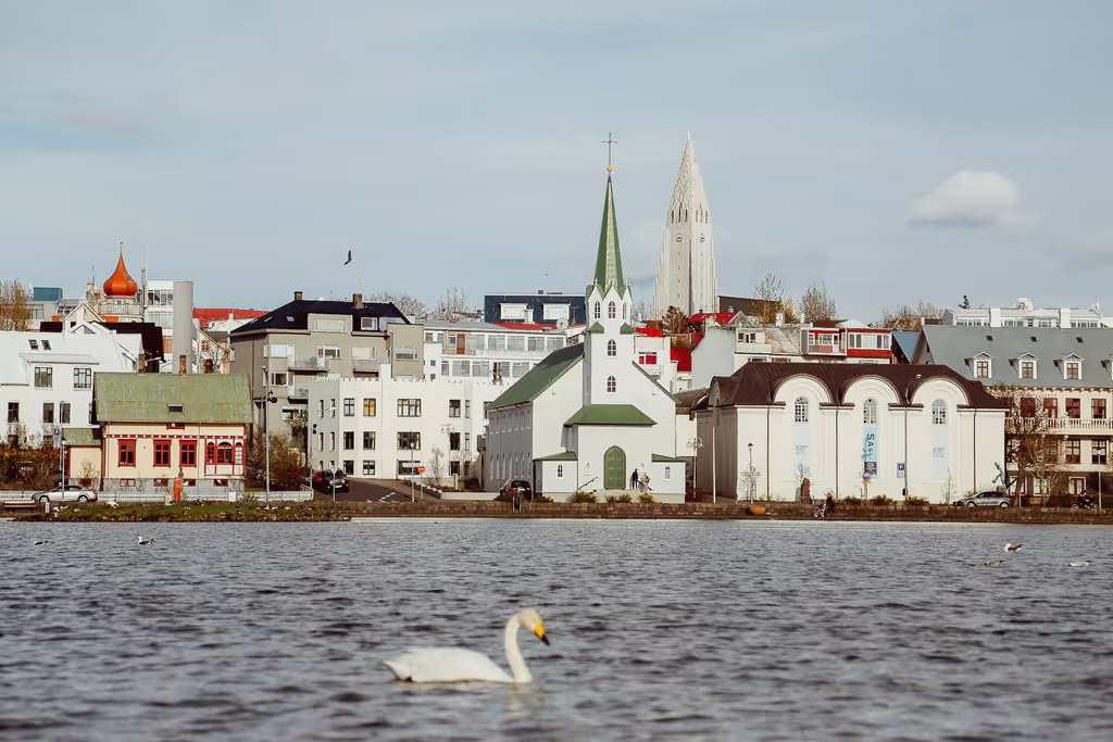 Reykjavik Private Tour - Explore the city centre