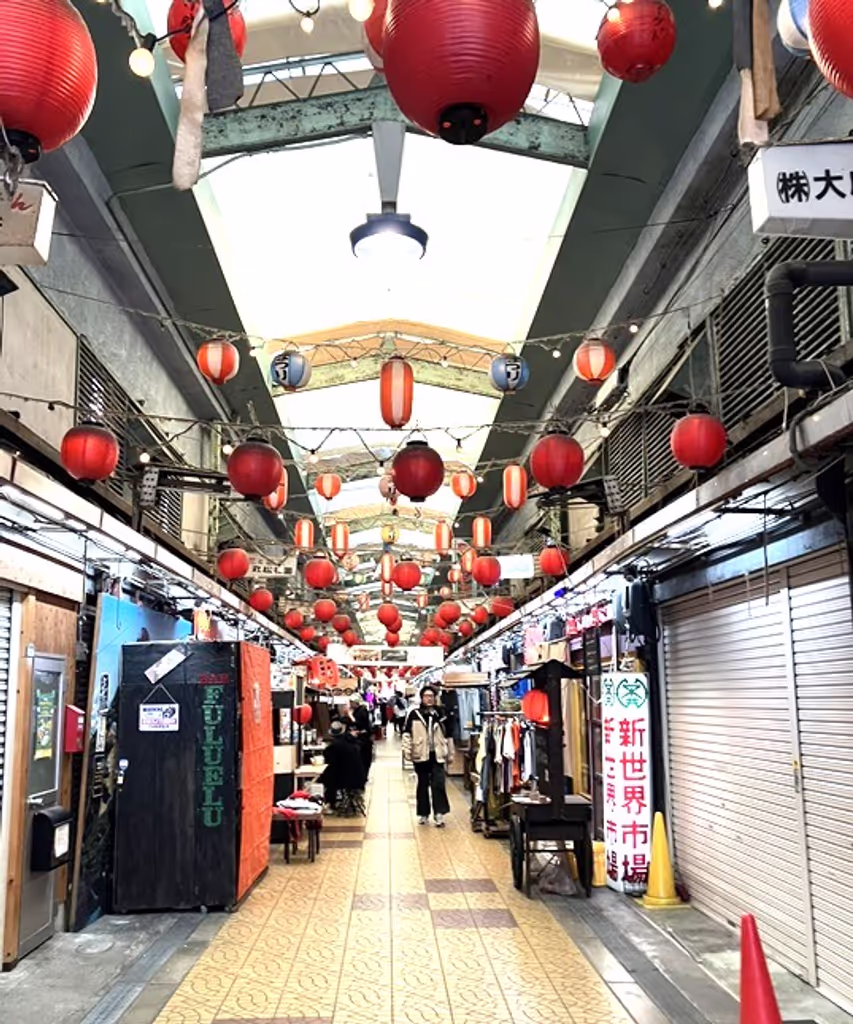 Osaka Private Tour - Shinsekai market