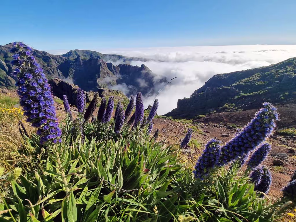 Madeira Private Tour - Pico do areeiro