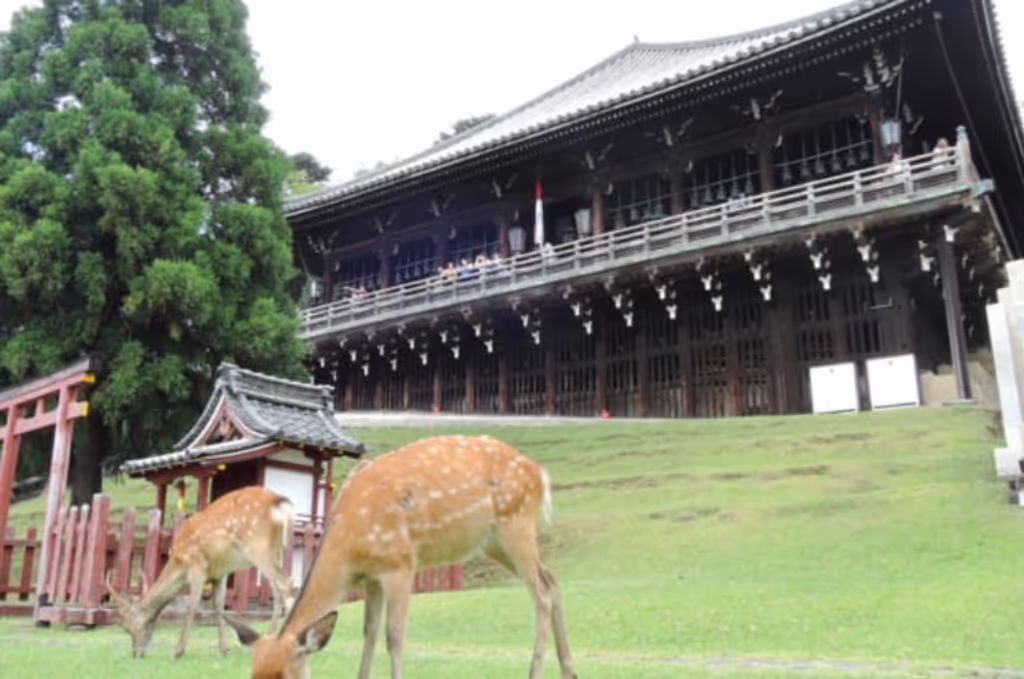 Nara Private Tour - 